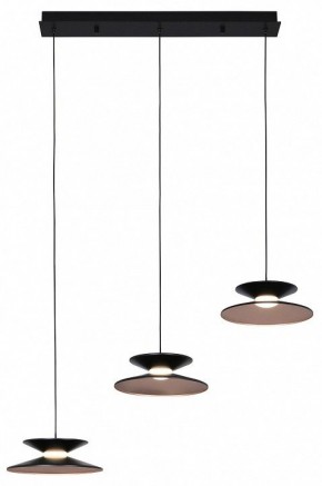 Подвесной светильник Favourite Platt 4372-3P в Режи - rezh.mebel24.online | фото 2