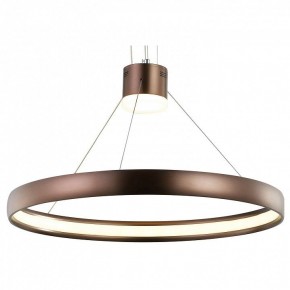 Подвесной светильник Favourite Saturn 2102-2P в Режи - rezh.mebel24.online | фото 1