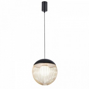 Подвесной светильник Favourite Сore 4240-1P в Режи - rezh.mebel24.online | фото
