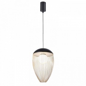 Подвесной светильник Favourite Сore 4241-1P в Режи - rezh.mebel24.online | фото 2