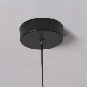 Подвесной светильник Favourite Wilet 4656-1P в Режи - rezh.mebel24.online | фото 10