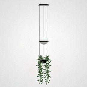 Подвесной светильник Imperiumloft Palma Wall Lamp 22.93727 в Режи - rezh.mebel24.online | фото