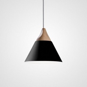 Подвесной светильник Imperiumloft Xd-B XD1 в Режи - rezh.mebel24.online | фото 2