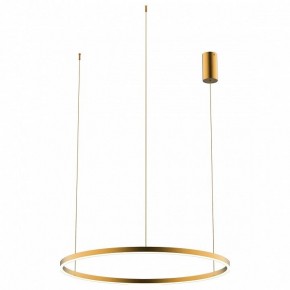 Подвесной светильник Kink Light Тор 08214,33P(3000K) в Режи - rezh.mebel24.online | фото 2