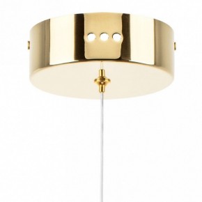 Подвесной светильник Lightstar Acrile 738023 в Режи - rezh.mebel24.online | фото 7