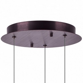 Подвесной светильник Lightstar Caramello 796139 в Режи - rezh.mebel24.online | фото 13