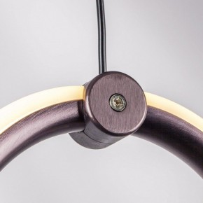 Подвесной светильник Lightstar Caramello 796169 в Режи - rezh.mebel24.online | фото 10