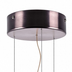 Подвесной светильник Lightstar Celesta 809210 в Режи - rezh.mebel24.online | фото 9