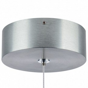 Подвесной светильник Lightstar Colore 805401 в Режи - rezh.mebel24.online | фото 7