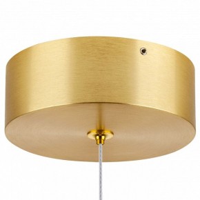 Подвесной светильник Lightstar Colore 805403 в Режи - rezh.mebel24.online | фото 7