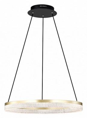 Подвесной светильник Lightstar Rotonda 736161 в Режи - rezh.mebel24.online | фото 2