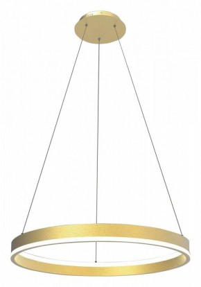 Подвесной светильник Lightstar Rotonda 736412 в Режи - rezh.mebel24.online | фото 2