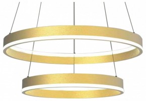 Подвесной светильник Lightstar Rotonda 736422 в Режи - rezh.mebel24.online | фото