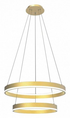 Подвесной светильник Lightstar Rotonda 736422 в Режи - rezh.mebel24.online | фото 2