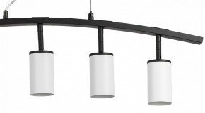 Подвесной светильник Lightstar Rullo LR735365 в Режи - rezh.mebel24.online | фото 5