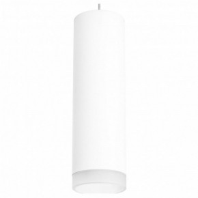 Подвесной светильник Lightstar Rullo RP649680 в Режи - rezh.mebel24.online | фото 2