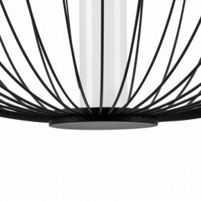 Подвесной светильник Lightstar Sole 734067 в Режи - rezh.mebel24.online | фото 10