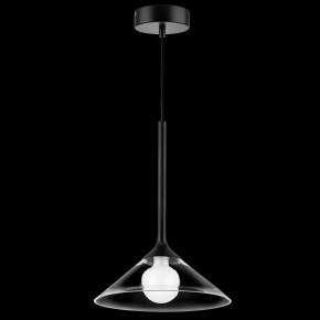 Подвесной светильник Lightstar Vetro 801204 в Режи - rezh.mebel24.online | фото 2
