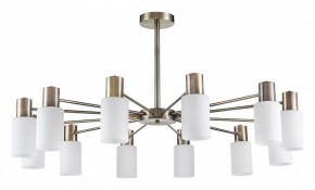 Подвесной светильник Lumion Mave 8100/12C в Режи - rezh.mebel24.online | фото