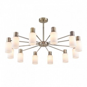 Подвесной светильник Lumion Mave 8100/12C в Режи - rezh.mebel24.online | фото 3