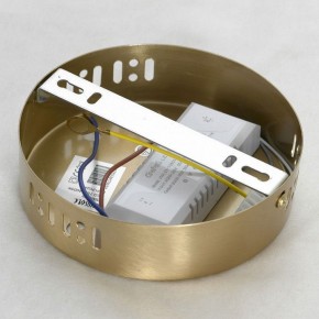 Подвесной светильник Lussole Centennial LSP-7024 в Режи - rezh.mebel24.online | фото 6