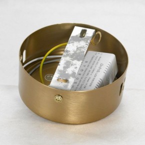 Подвесной светильник Lussole Centennial LSP-7025 в Режи - rezh.mebel24.online | фото 6