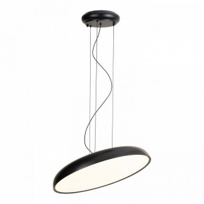 Подвесной светильник Lussole Crook LSP-7360 в Режи - rezh.mebel24.online | фото 2