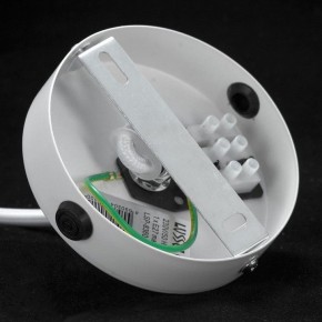 Подвесной светильник Lussole Cuscino GRLSP-8360 в Режи - rezh.mebel24.online | фото 6