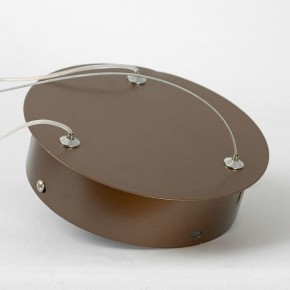 Подвесной светильник Lussole Dade LSP-7250 в Режи - rezh.mebel24.online | фото 5