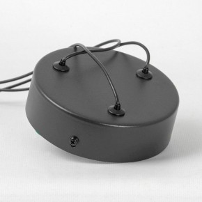 Подвесной светильник Lussole Gilmer LSP-0936 в Режи - rezh.mebel24.online | фото 4