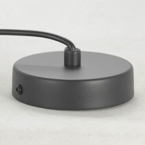 Подвесной светильник Lussole LSP-848 LSP-8489 в Режи - rezh.mebel24.online | фото 7