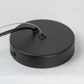 Подвесной светильник Lussole Miller LSP-8924 в Режи - rezh.mebel24.online | фото 6