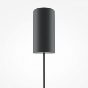 Подвесной светильник Maytoni Bangkok MOD185PL-L12CG3K1 в Режи - rezh.mebel24.online | фото 7