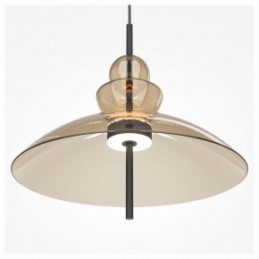 Подвесной светильник Maytoni Bangkok MOD185PL-L12CG3K3 в Режи - rezh.mebel24.online | фото 5