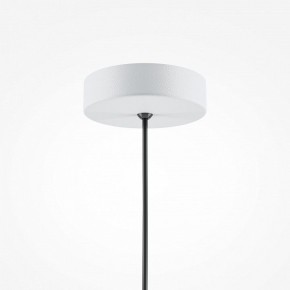 Подвесной светильник Maytoni Basic colors MOD167PL-01W в Режи - rezh.mebel24.online | фото 5