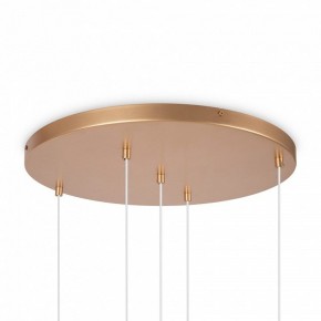 Подвесной светильник Maytoni Basic form MOD521PL-05G в Режи - rezh.mebel24.online | фото 6