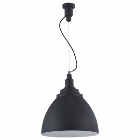 Подвесной светильник Maytoni Bellevue P535PL-01B в Режи - rezh.mebel24.online | фото 2