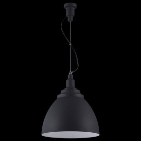Подвесной светильник Maytoni Bellevue P535PL-01B в Режи - rezh.mebel24.online | фото 3