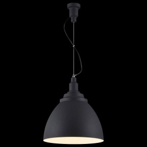 Подвесной светильник Maytoni Bellevue P535PL-01B в Режи - rezh.mebel24.online | фото 4