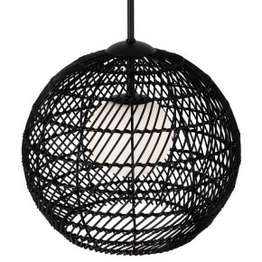 Подвесной светильник Maytoni CANE MOD204PL-01B1 в Режи - rezh.mebel24.online | фото 2