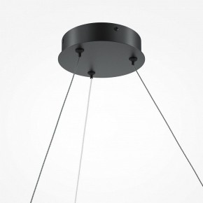 Подвесной светильник Maytoni Curve MOD242PL-L33BK в Режи - rezh.mebel24.online | фото 5