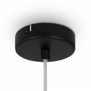 Подвесной светильник Maytoni Duality MOD271PL-01B4 в Режи - rezh.mebel24.online | фото 10