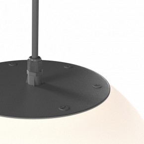 Подвесной светильник Maytoni Erda O594PL-01B в Режи - rezh.mebel24.online | фото 4