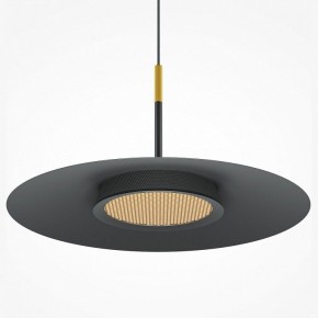 Подвесной светильник Maytoni Halo MOD041PL-L15B3K1 в Режи - rezh.mebel24.online | фото