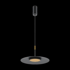 Подвесной светильник Maytoni Halo MOD041PL-L15B3K1 в Режи - rezh.mebel24.online | фото 4