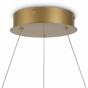 Подвесной светильник Maytoni Halo MOD100PL-L47BSK1 в Режи - rezh.mebel24.online | фото 6