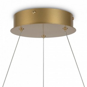 Подвесной светильник Maytoni Halo MOD100PL-L88BSK1 в Режи - rezh.mebel24.online | фото 6