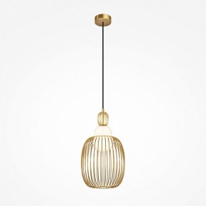Подвесной светильник Maytoni Levitation MOD376PL-01G1 в Режи - rezh.mebel24.online | фото 2