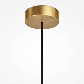 Подвесной светильник Maytoni Levitation MOD376PL-01G1 в Режи - rezh.mebel24.online | фото 7