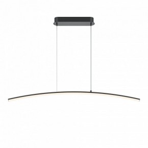 Подвесной светильник Maytoni Light Reflection MOD243PL-L18BK в Режи - rezh.mebel24.online | фото 2